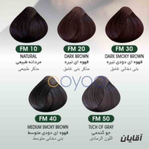 رنگ موی بیوداکس مخصوص آقایان در فروشگاه اویو