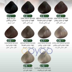رنگ موی بیوداکس سری دودی در فروشگاه اویو
