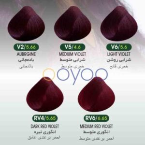 رنگ موی بیوداکس سری شرابی در فروشگاه اویو