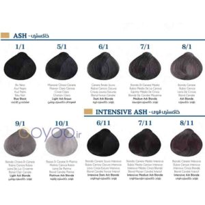 رنگ موی لولیا سری خاکستری موجود در فروشگاه اویو