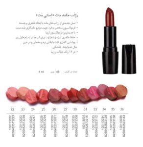رژ لب جامد بلک دایموند مای مات مدل استی مت در 12 رنگ از اویو