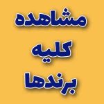 برندهای آرایشی معتبر در اویو